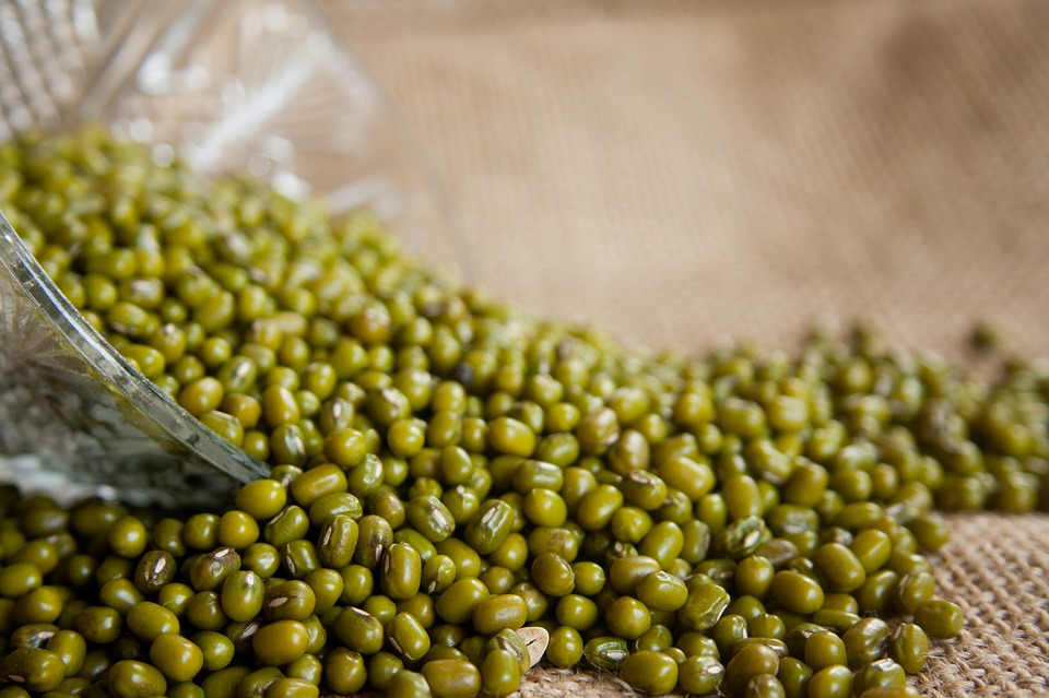 Difference Between Beans and Peas | Compare the Difference Between