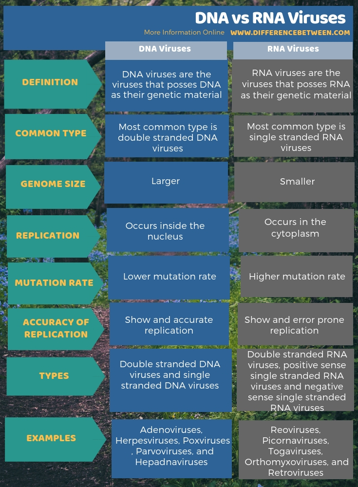 Differences Between Dna And Rna Viruses Compare The Difference Between Similar Terms