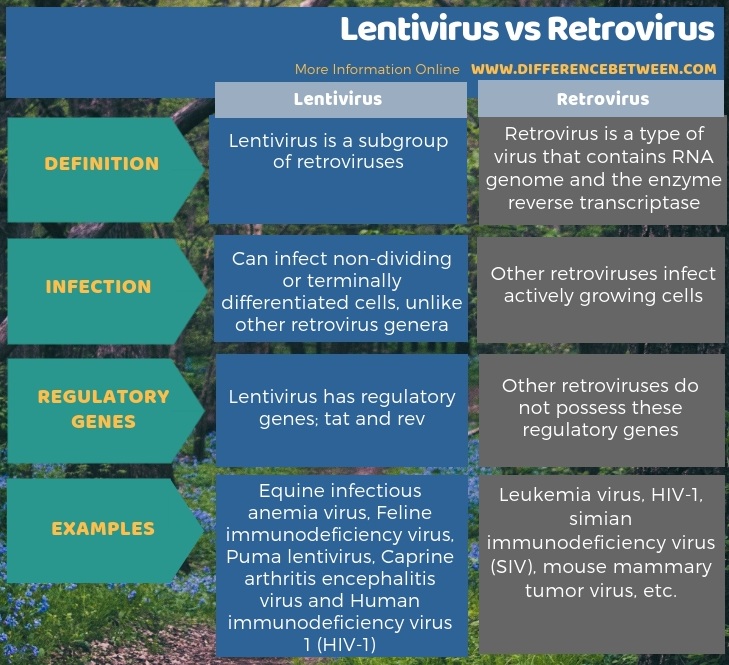 retroviruses and viruses difference