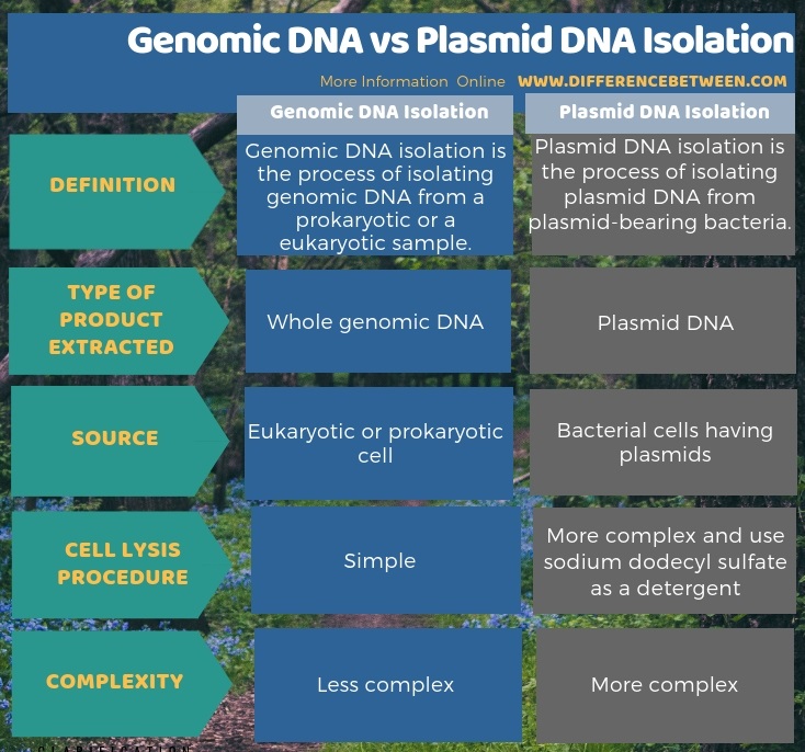 Difference Between cDNA and Genomic DNA | Definition 