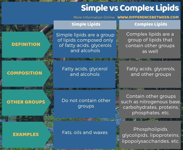 Difference Between Simple And Complex Carbohydrates Chart