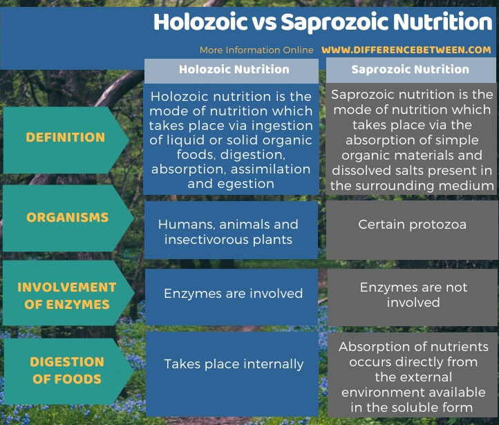 Difference Between Holozoic and Saprozoic Nutrition ...