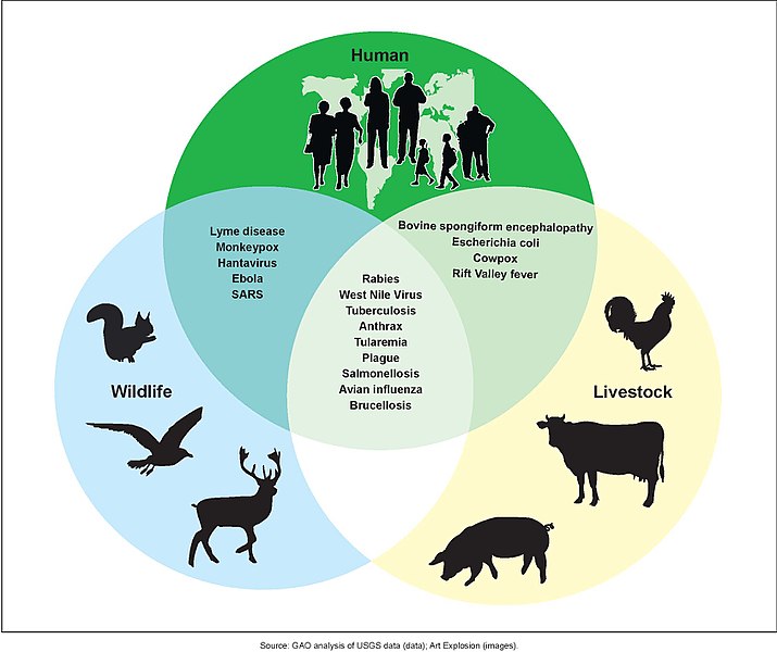 Difference Between Zoonotic and Vector Borne Diseases Compare the