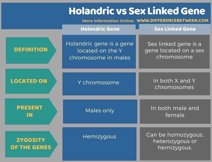 Difference Between Holandric And Sex Linked Gene Compare The Difference Between Similar Terms